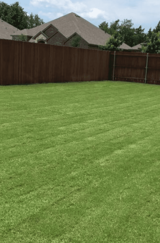 Mowed Lawn