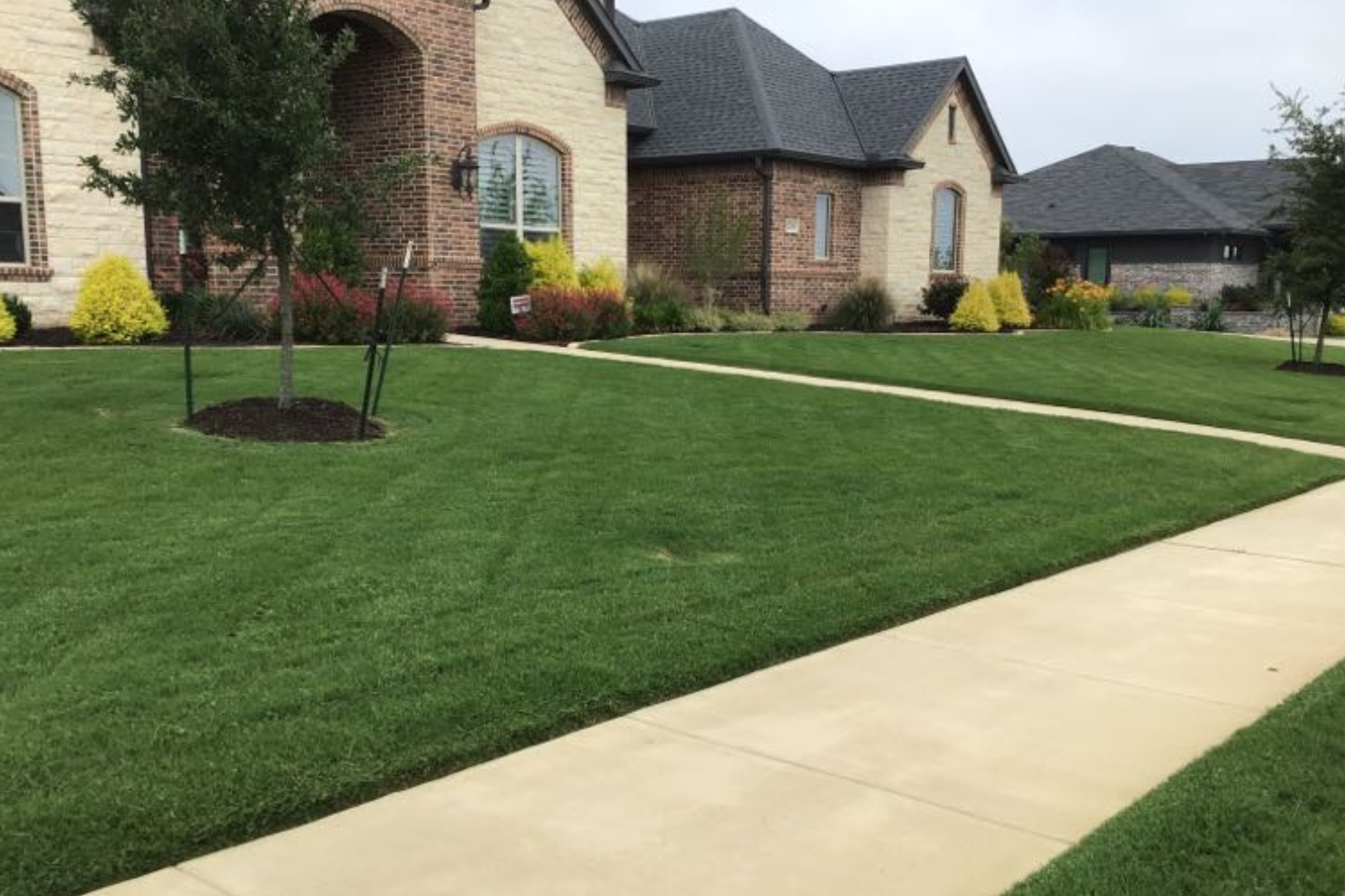 A healthy green Bermuda lawn being mowed in Midlothian, Texas