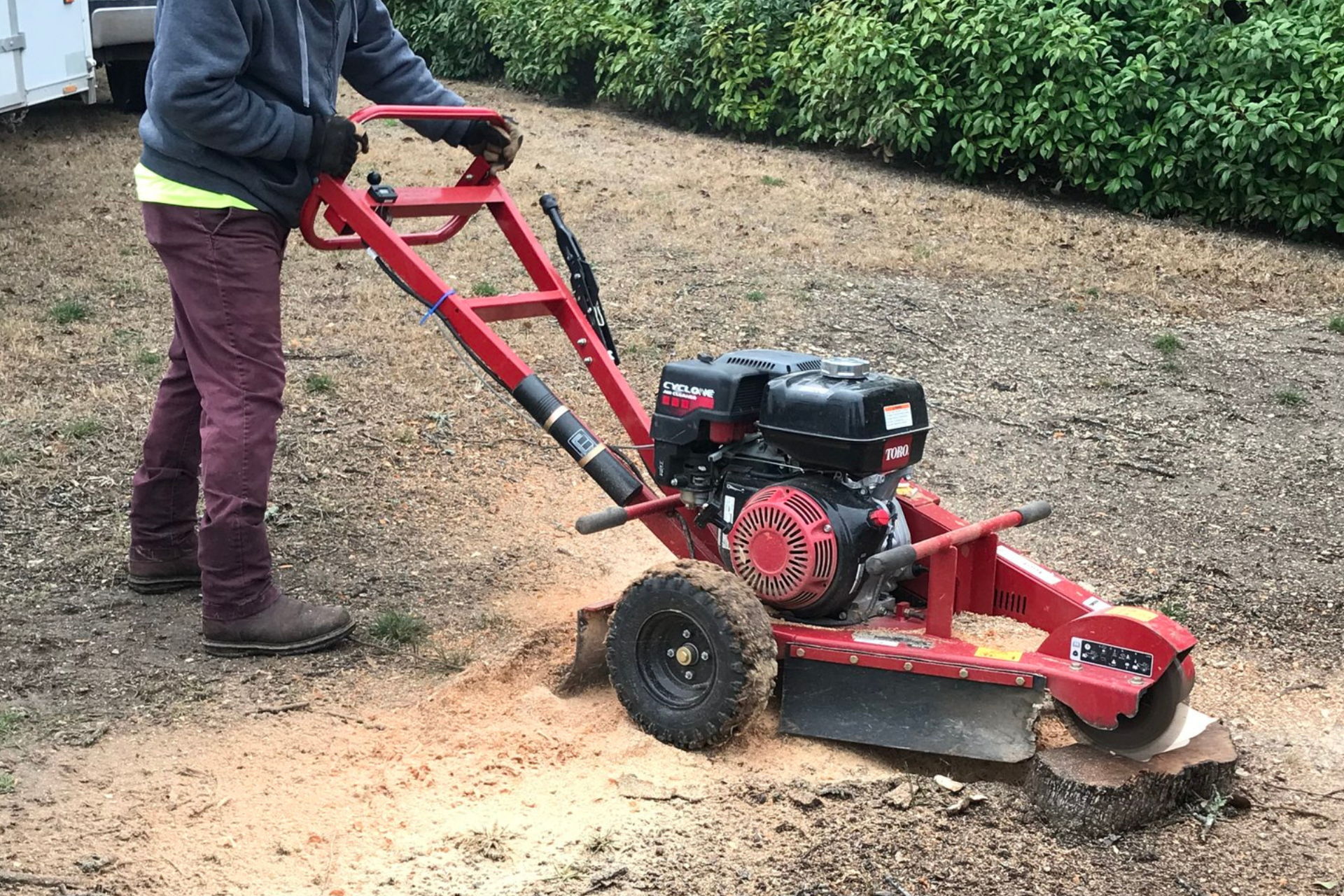 Stump Grinding