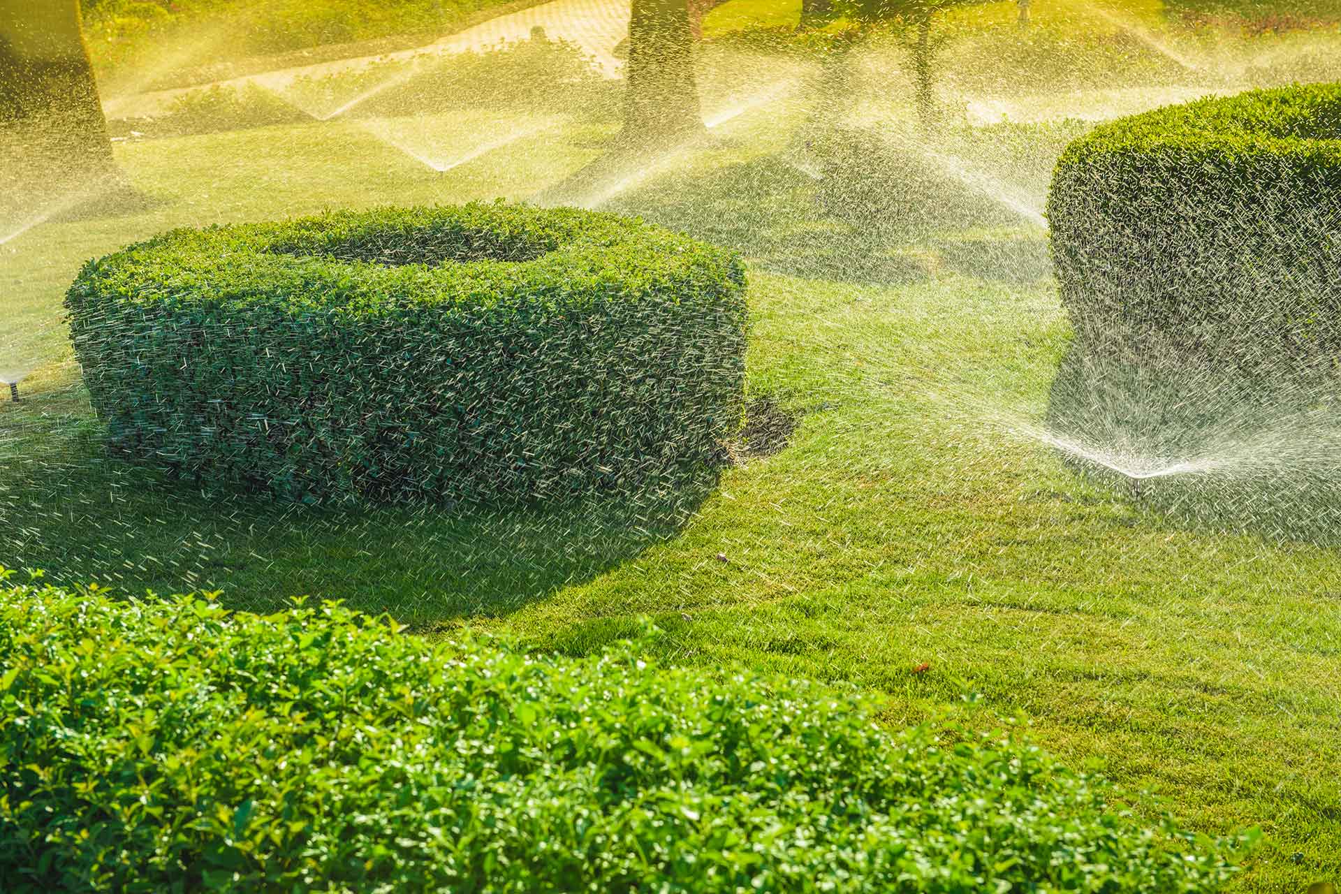 Automatic in-ground irrigation system watering a green lawn in the early morning